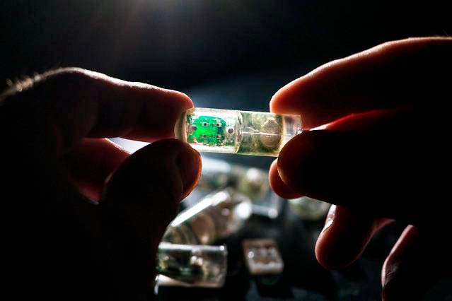 Капсула с микрочипом на котором размещены искусственные бактерии как анализаторы внешней среды