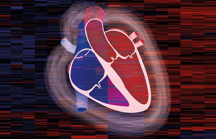 Атлас здорового человеческого сердца - сердечный протеом