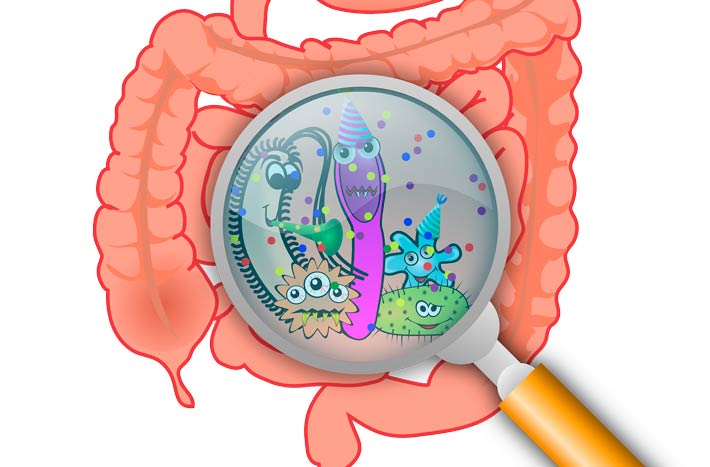 Иллюстрация микрофлоры кишечника человека