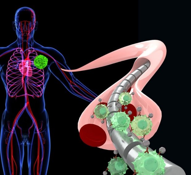 Иллюстрация принципа действия новой технологии по раннейму обнаружению ракавых клеток в крови